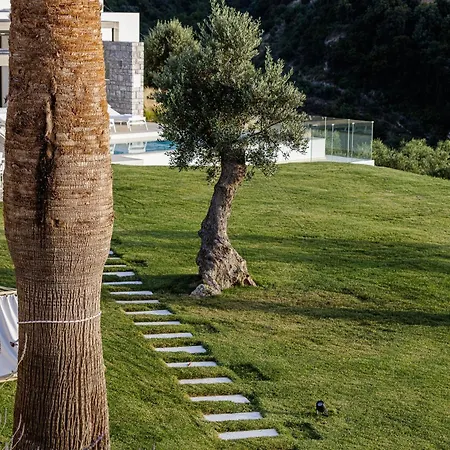 Amna Olive Mmxx Hébergement de vacances *