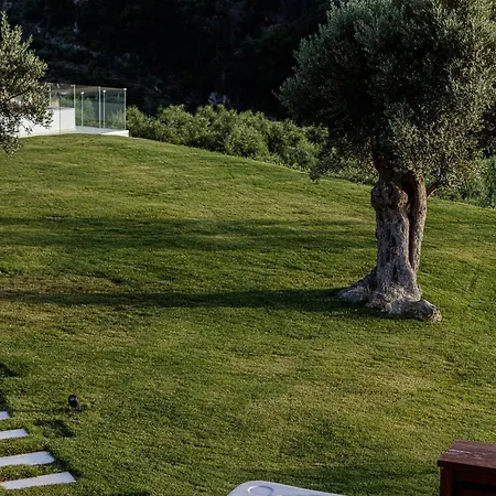 Amna Olive Mmxx Hébergement de vacances
