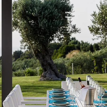 Amna Olive Mmxx Hébergement de vacances Amnátos